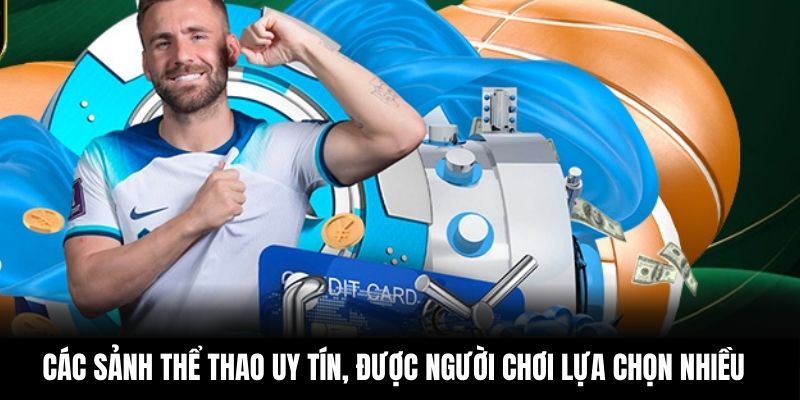 Các sảnh thể thao uy tín, được người chơi lựa chọn nhiều