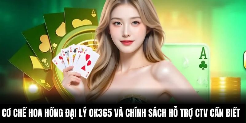 Cơ chế hoa hồng đại lý OK365 và chính sách hỗ trợ CTV cần biết