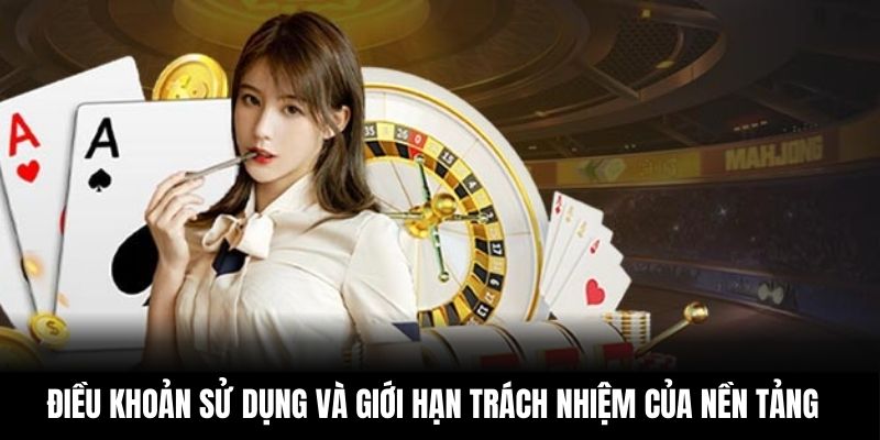 Điều khoản sử dụng và giới hạn trách nhiệm của nền tảng